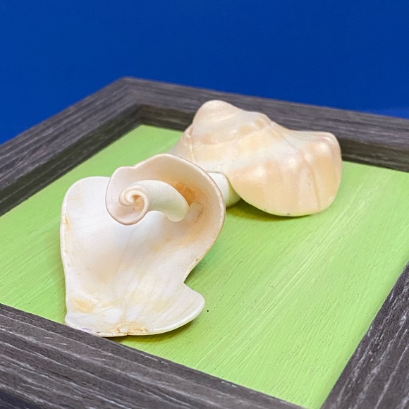 Handmade frame sea shell art - Picture 2 of 2